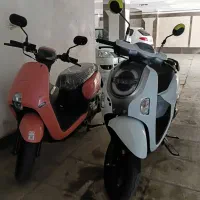 هندا اسکوپی تک رنگ