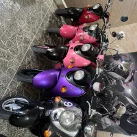 پاکشتی وینو