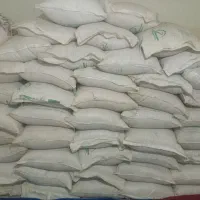 گندم بذر