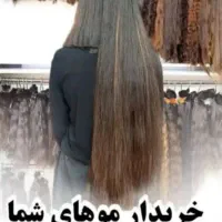 خواهان موب قیمت دلار**مستقیم مو روبه خریداربفروشین