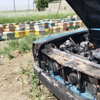 نیسان دیزلی آبی رنگ مدل ۹۴ برج۱۱