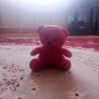 عروسک خرس کو چک