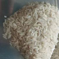 برنج خوشپخت طارم فجر هاشمی