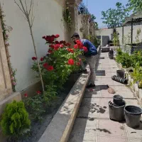 کلیه کارهایه باغبانی سم پاشی هرس  گل کاری تیلرزن