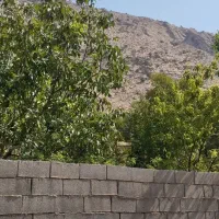 زمین مسکونی (باغچه)