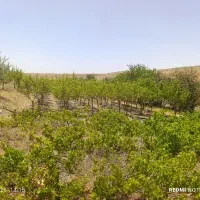 فروش باغ
