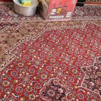 قالی۱۲متری نقش ریز
