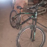 دوچرخه بونیتو دنده ای