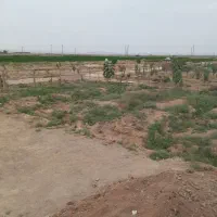 باغ