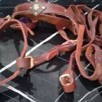 افسار اسب