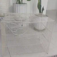 قفس