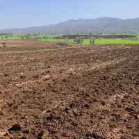 زمین کشاورزی در روستای بناویله کوچک
