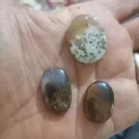 شجر  فردوس