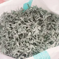 پونه خشک باغی درجه یک