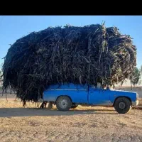 خریدار نوار تیپ نایلون کشاورزی