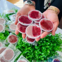 زعفران نگین صادراتی ۱گرمی