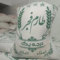 برنج فجر