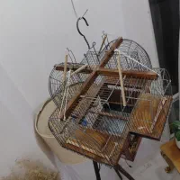 تله ی سهره کرمانشاهی
