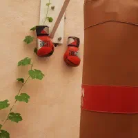 وزنه ده کیلویی . کیسه بوکس دستکش بوکس