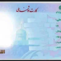 مدارک شناسایی به نام سالاریان گم شده است