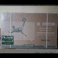 تلویزیون ۵۵اینچ olive‌اولیو
