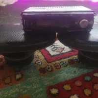 ظبط باند ب شرط