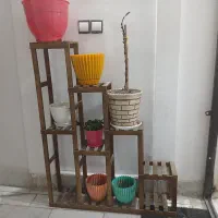 استند گل و گلدانها سالم و مرتب