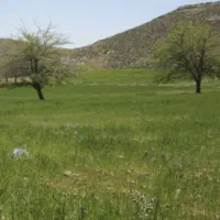 زمین-باغ-شهری-خالد-اباد-اف8