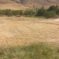 زمین و باغ کشاورزی