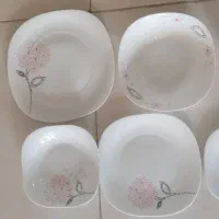 آرکوپال 24 نفره 8 میلیون