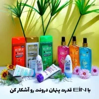 انباردار لاین مویرگی و حسابدار ( خزانه دار )