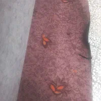 ۱۰۰متر موکت