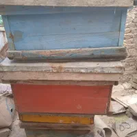 کندوی زنبور عسل با دوام و چوب سنگین