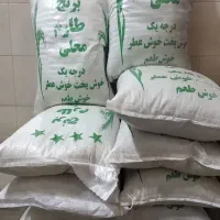 برنج فجر سوزنی گرگان