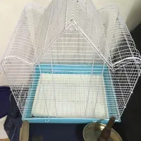 قفس پرنده
