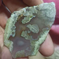 شجرعقیق کبود