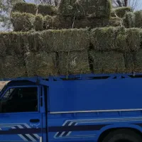 جابجایی بار از بافت به تمام نقاط