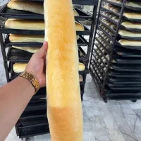 نان فانتزی باگت فرانسوی ساندویچی