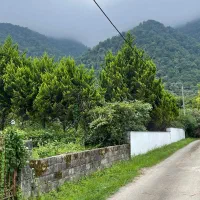 چلک-نوشهر-456متر-سند-شش-دانگ-و-بافت-مسکونی
