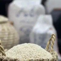 فروش برنج ایرانی چکی طارم هاشمی