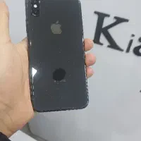 x 256