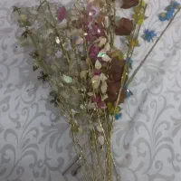 گل کریستالی