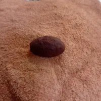 شهاب سنگ سوخته