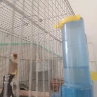 سهره،دستبافت