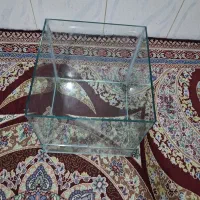 تراریوم
