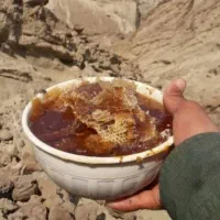 عسل کوهی اصل
