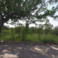 باغ ۲۰۰۰ متری