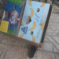 کارتن موز