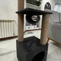 اسکرچر گربه