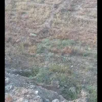 زمین ده غیبی